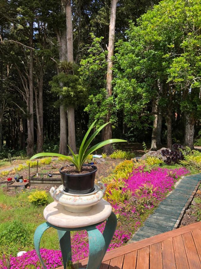 N.Z Country Home وانجاري المظهر الخارجي الصورة